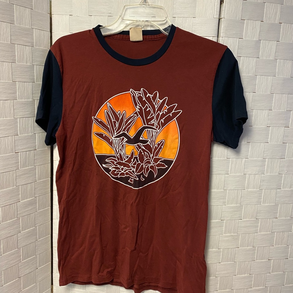 Mens Hollister Tee Shirt Size Small